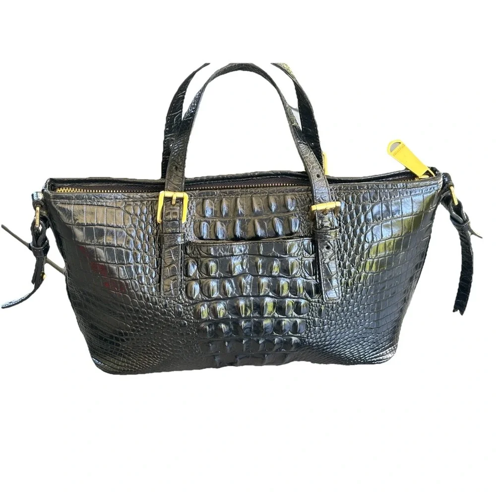 Brahmin mini asher